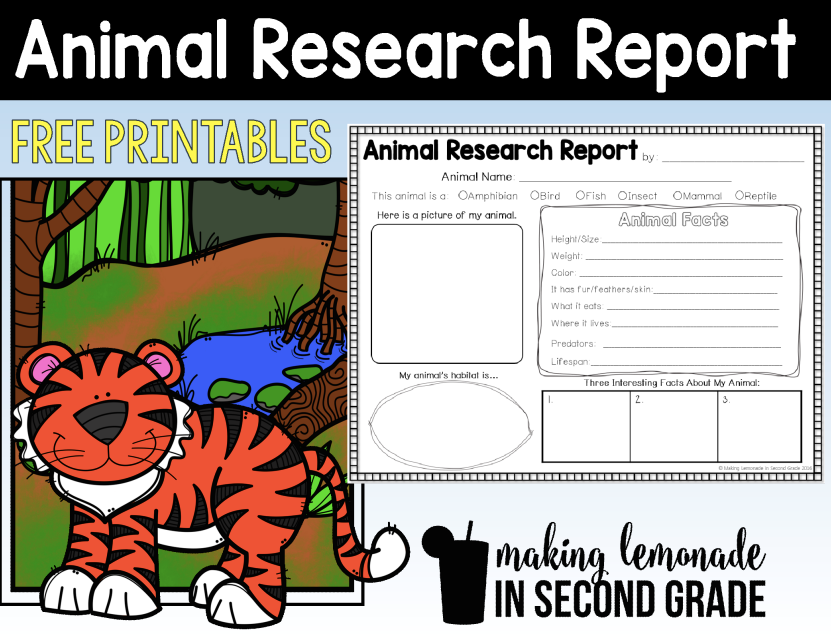 animal research report