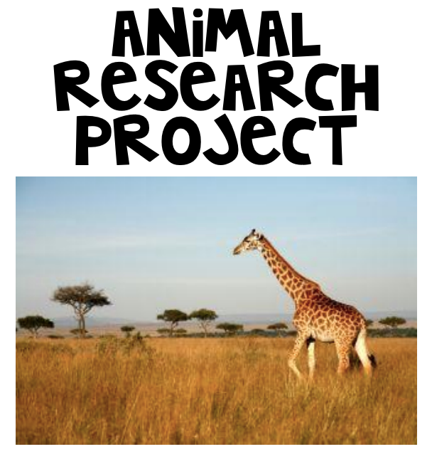 animal research project