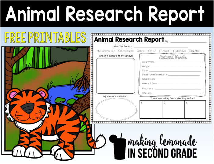 animal research report