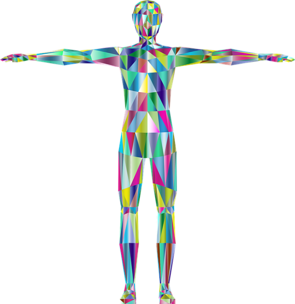 Health & Anatomy Visuals - unSocialized