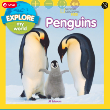 winter lesson plans: penguin reader