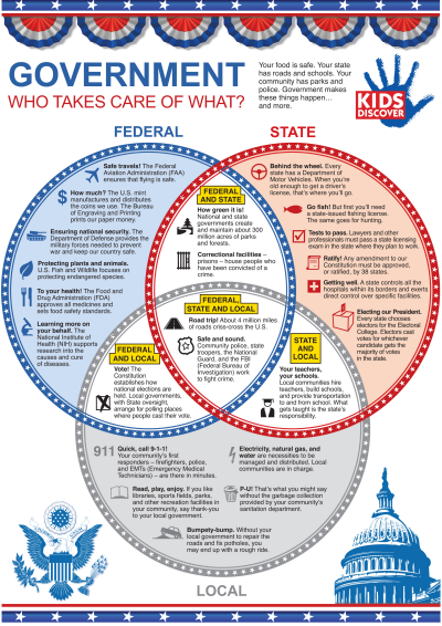 civics worksheets: government infographic