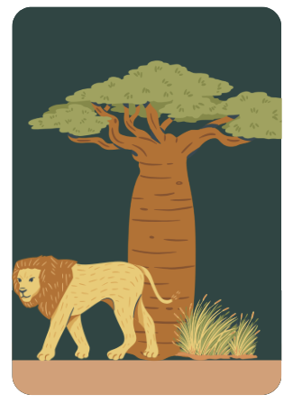 savannah biome habitat food chain