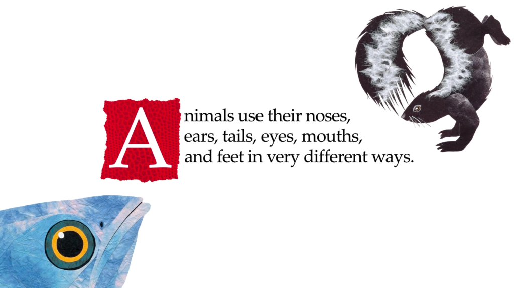 animals use their noses, ears, tails, eyes, mouths, and feet in different ways