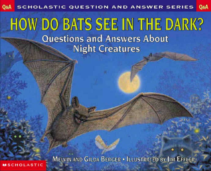 How do bats see in the dark Scholastic reader