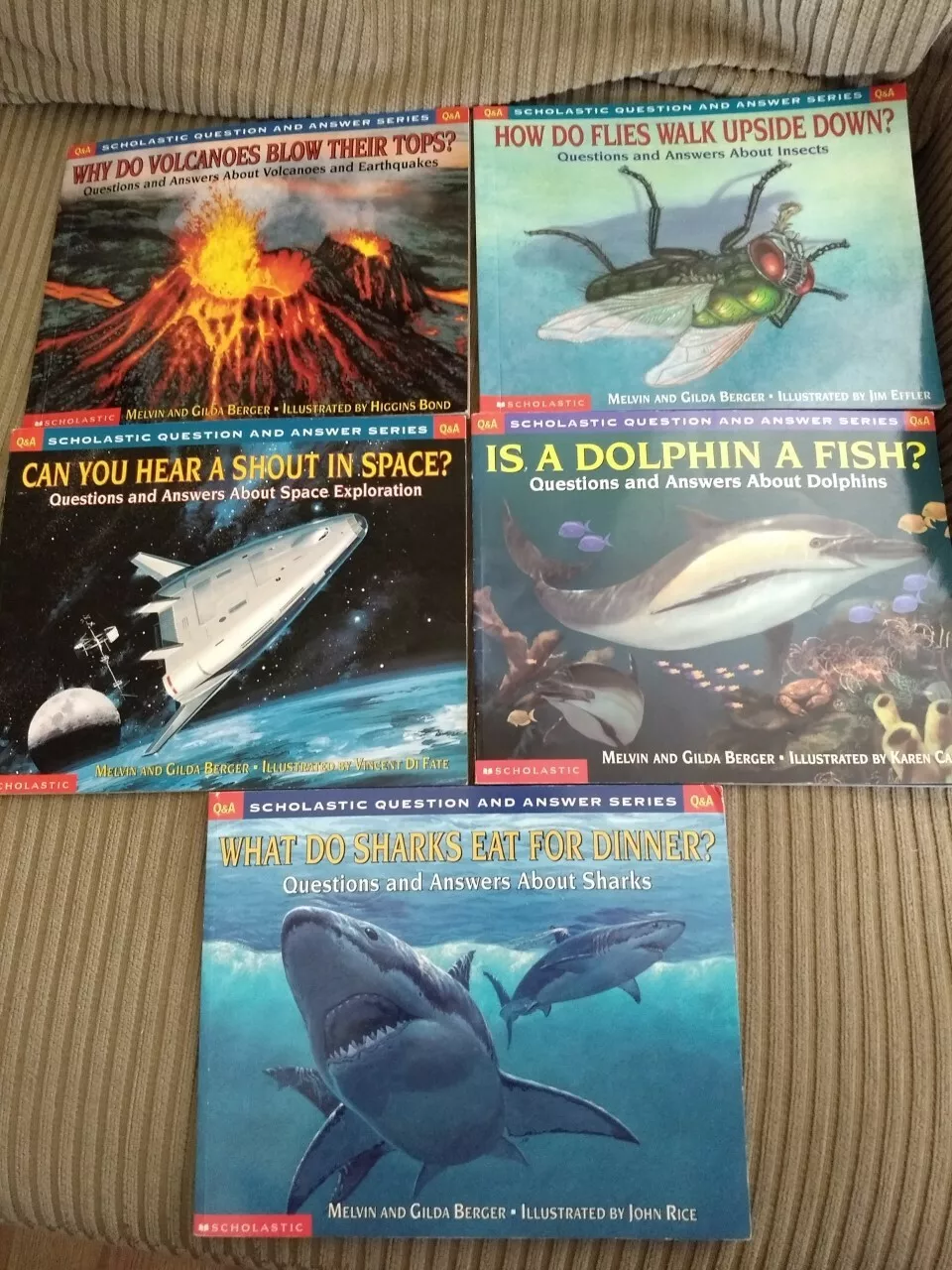 Scholastic Question and answer series books