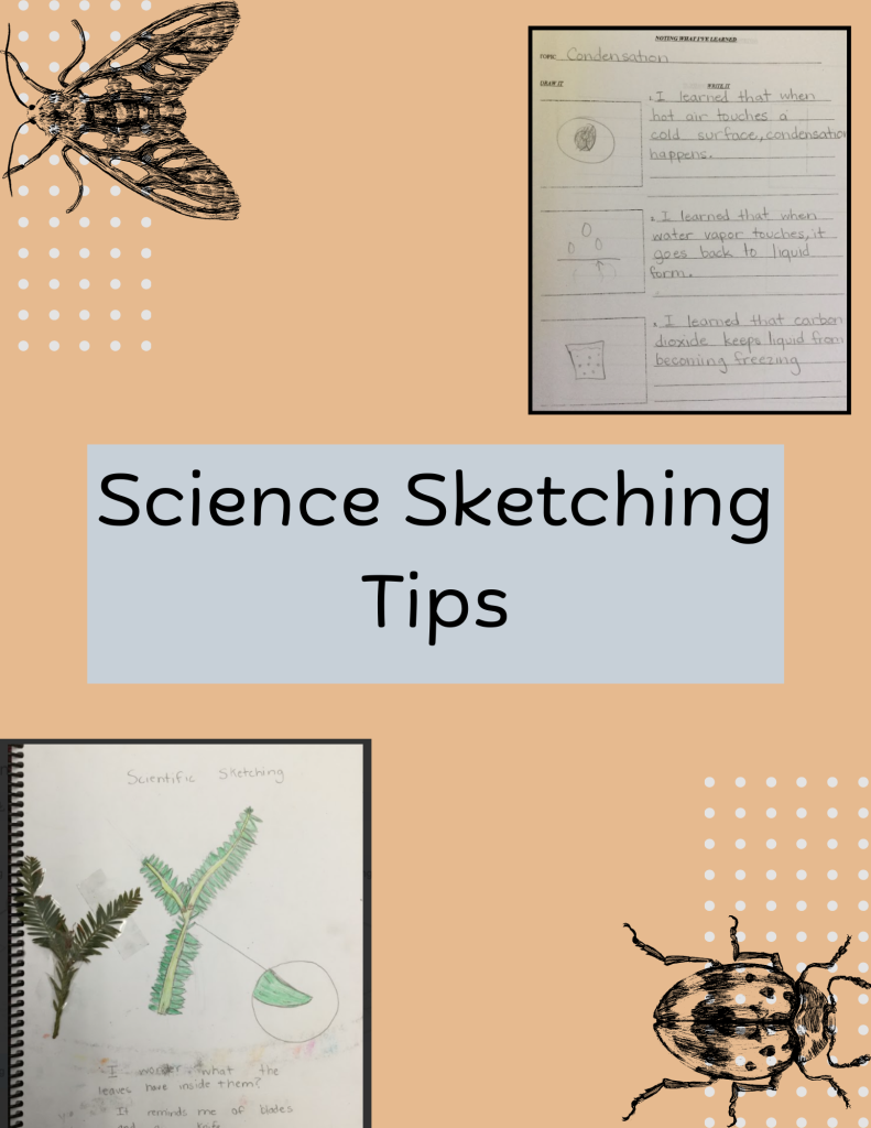  science sketching tips