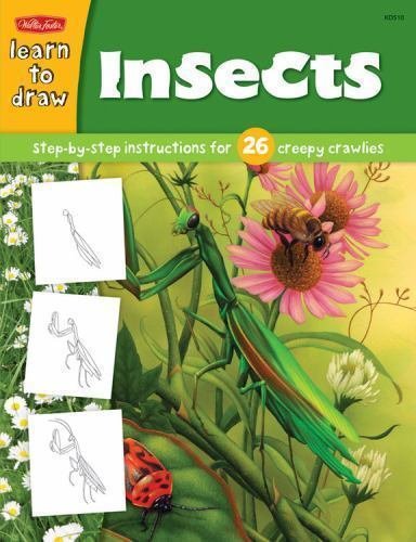 how to draw insects book