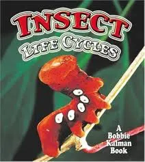 insect life cycles book