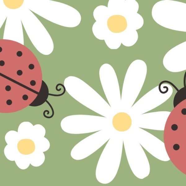 Backyard Bug Hunts: A Spring-Summer Science Adventure
