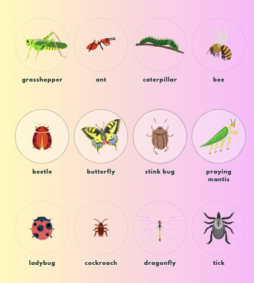 bug identification log book for kids