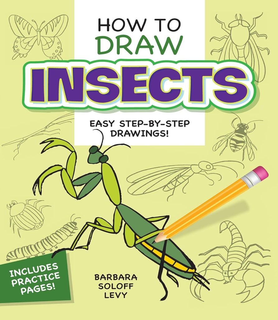 How to draw insects boook