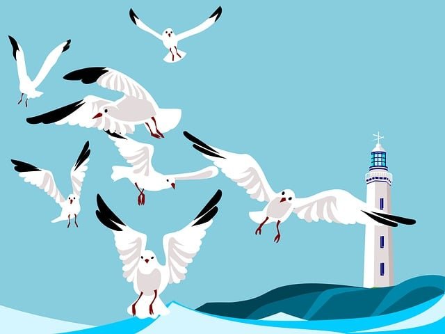 picture prompts; free writing activities