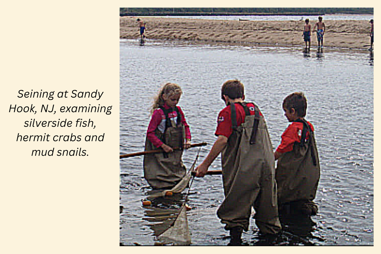 seining, sandy hook, nj