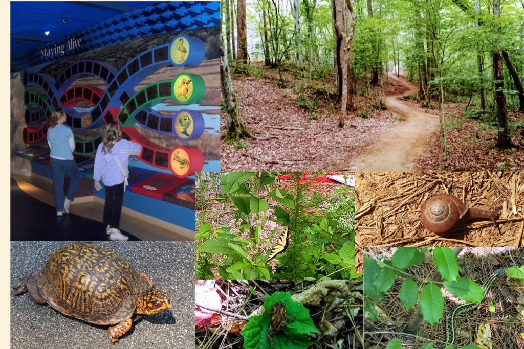 habitats, ecosystems, food chains